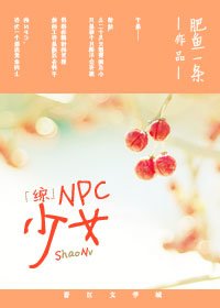 《(综同人)NPC少女》
