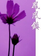 《凤凰镇》