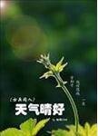 《(士兵同人)天气晴好》