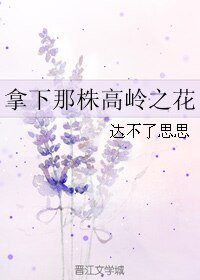 《拿下那株高岭之花》