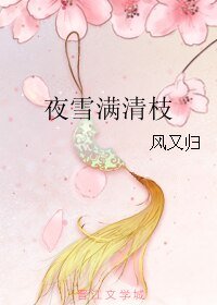 《夜雪满清枝》