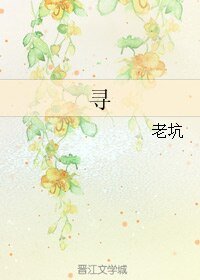 《(吸血鬼骑士同人)寻》