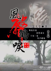 《(影视同人)红染锦华之乱世风云》