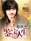 《都市之鉴宝人生》