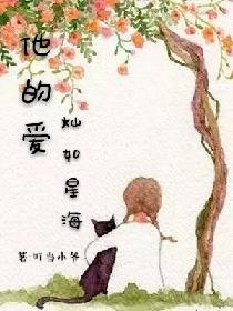 《他的爱灿如星海》