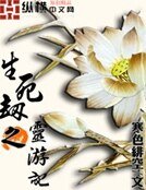 《生死劫之灵游记》