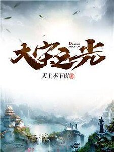 《大宋之光》