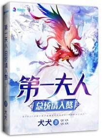 《第一夫人:总统请入赘》