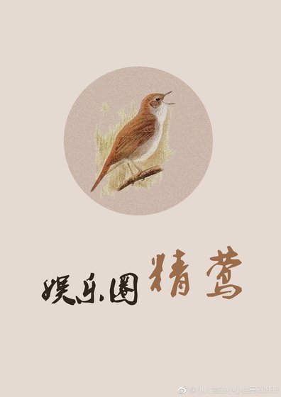 娱乐圈精莺