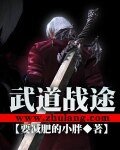 《武道战途》