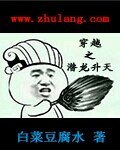 《穿越之潜龙升天》