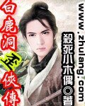《白鹿洞歪侠传》