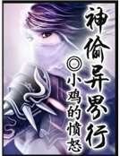 《神偷异界行》