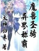 《魔兽圣骑异界称霸》
