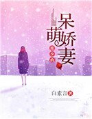席少的呆萌娇妻