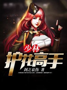 《少林护花高手》