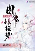 《君王溺宠:风爷,很强势》