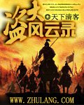 《大盗风云录》