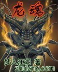 《龙魂》