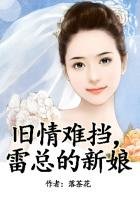 《旧情难挡,雷总的宝贝新娘》