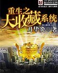 《重生之大收藏系统》