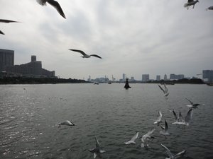 《(霹雳同人)当时明月》