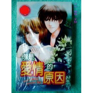 你是我爱情的原因（出书版）