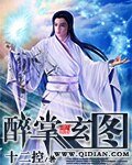 《醉掌玄图》