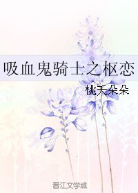 《(吸血鬼骑士同人)吸血鬼骑士之枢恋》