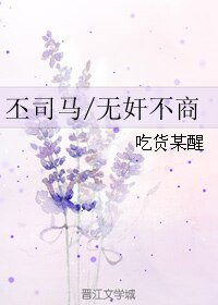 《(三国同人)丕司马/无奸不商》