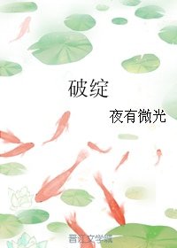 《破绽》
