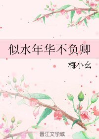 《似水年华不负卿》