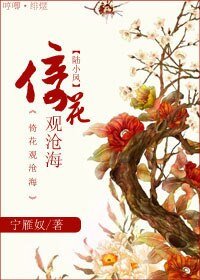 （陆小凤同人）[陆小凤]倚花观沧海
