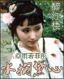 《(红楼同人)水掬黛心醉红楼》