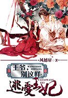 《王爷,别这样:逃爱王妃》
