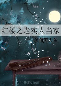 《(红楼同人)红楼之老实人当家》