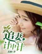 追妻计中计