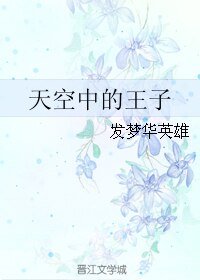 《天空中的王子》