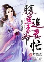 《萌妃来袭:腹黑王爷追妻忙》
