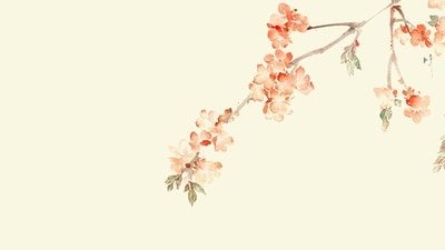 《寂寂年未央》