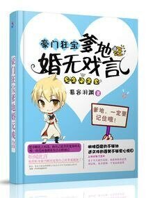 《豪门狂宝爹地婚无戏言》