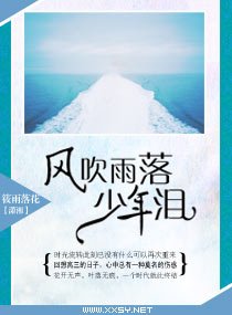 《风吹雨落少年泪》