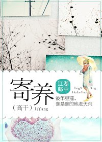 寄养(高干)