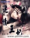 《迷情王妃》
