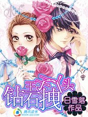 《钻石王子拽丫头》