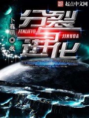 《分裂与进化》