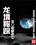 《龙境秘踪》