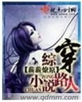 《(BG-综同人)综穿小说路人》