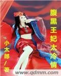 《腹黑王妃太冷情》