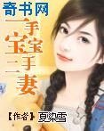 《一手宝宝二手妻》
